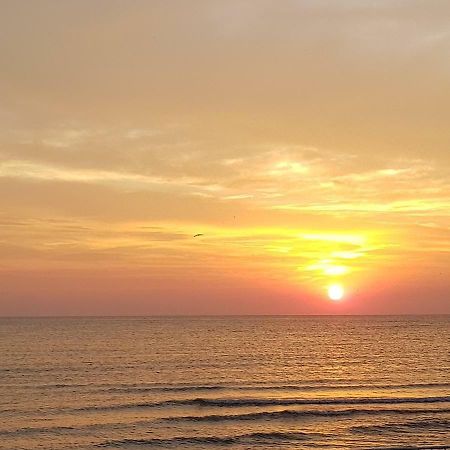 Summerhouse Apartments Mamaia Kültér fotó
